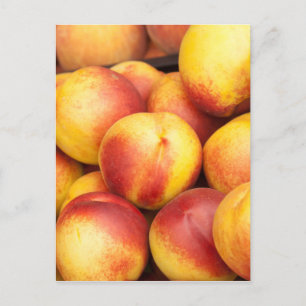 Cartão Postal Fundo nectarino