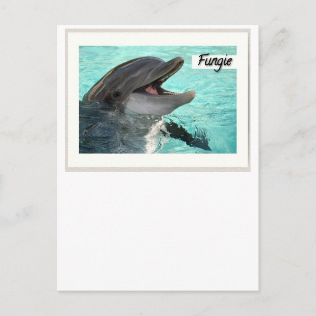 Cartão Postal Fungie The Dolphin Postcard (Frente)