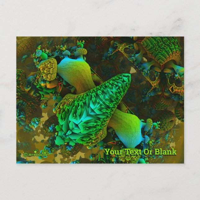 Cartão Postal Fungo (Frente)