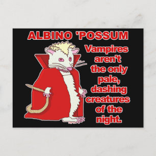 Cartão Postal Funny Albino Possum Vampire Animal