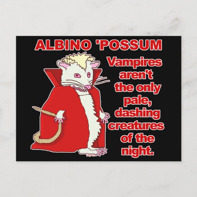 Cartão Postal Funny Albino Possum Vampire Animal (Frente)