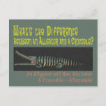 Cartão Postal Funny Alligator Riddle para Crianças<br><div class="desc">Cartão postal engraçado para as crianças,  "Qual é a diferença entre um crocodilo e um jacaré? Um jacaré o verá mais tarde,  um crocodilo depois." Fontes malucas e um gráfico de crocodilo fofo tornam essa placa de enigma especialmente divertida de ser enviada para crianças ou netos.</div>