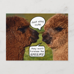 Cartão Postal Funny Alpaca Alpacalypse Scheming