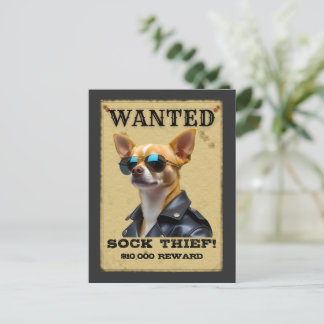 Cartão Postal Funny Chihuahua WANTED Poster with Cool Sunglasses