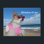 Cartão Postal Funny Corgi Bikini<br><div class="desc">Este lindo córrego de biquíni rosa está tomando sol nas férias de praia de seu cachorro. Um cartão muito engraçado para alguém que você está desaparecendo que ama cachorros bonito. Nada como ver um Pembroke Welsh Corgi vestido com roupas de bobo com óculos de sol. Personalize com seu próprio texto,...</div>