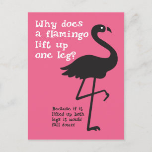 Cartão Postal Funny Flamingo Riddle