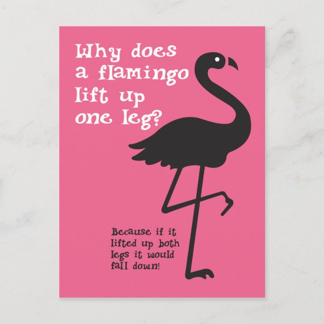 Cartão Postal Funny Flamingo Riddle (Frente)