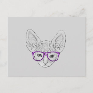 Cartão Postal Funny Geeky Nerdy Sphynx with Taped Glasses