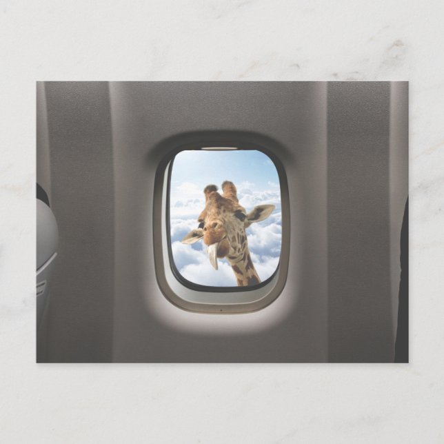Cartão Postal Funny Giraffe (Frente)