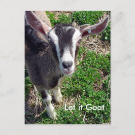 Cartão Postal Funny Goat Parody