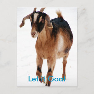 Cartão Postal Funny Goat Parody