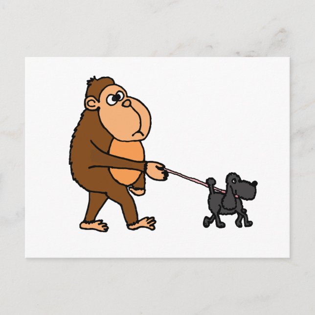 Cartão Postal Funny Gorilla Caminhando Cachorro de Poodle Negro (Frente)