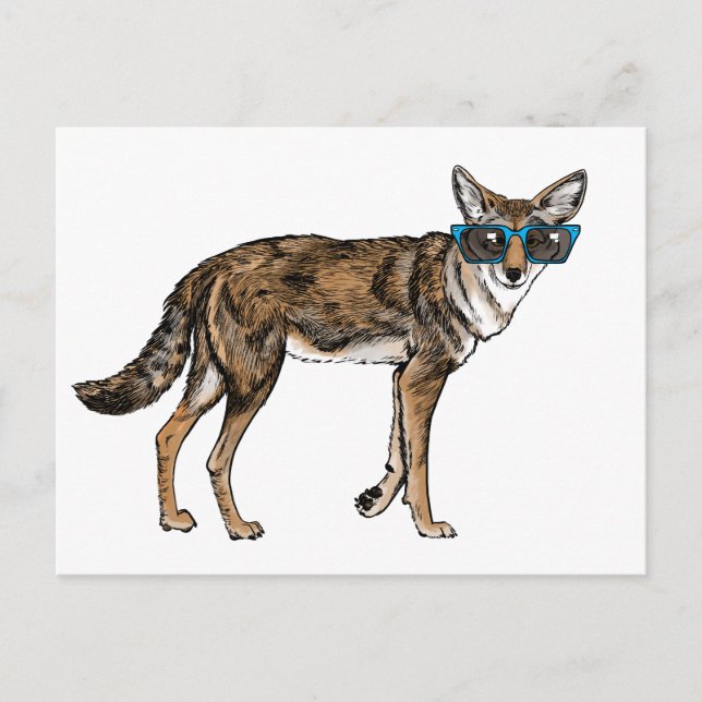 Cartão Postal Funny Hipster Coyote with Sunglasses (Frente)