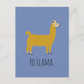 Cartão postal Funny Llama