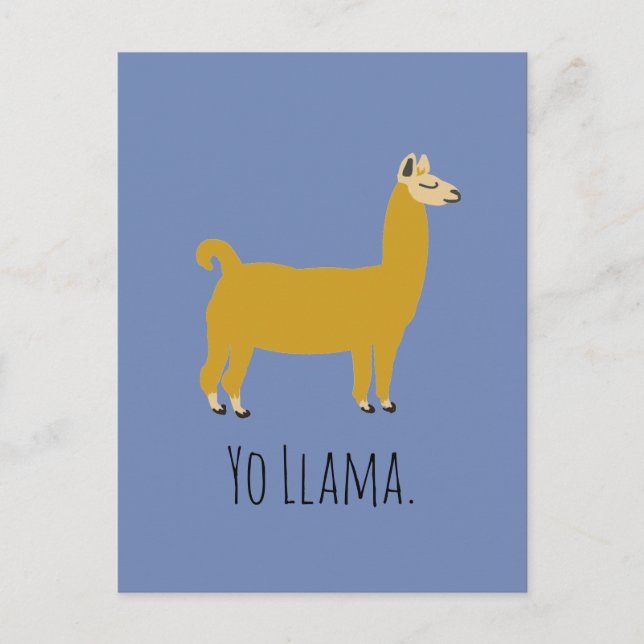 Cartão postal Funny Llama (Frente)