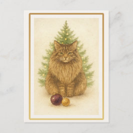 Cartão Postal Funny Maine Coon Cat Christmas Postcard