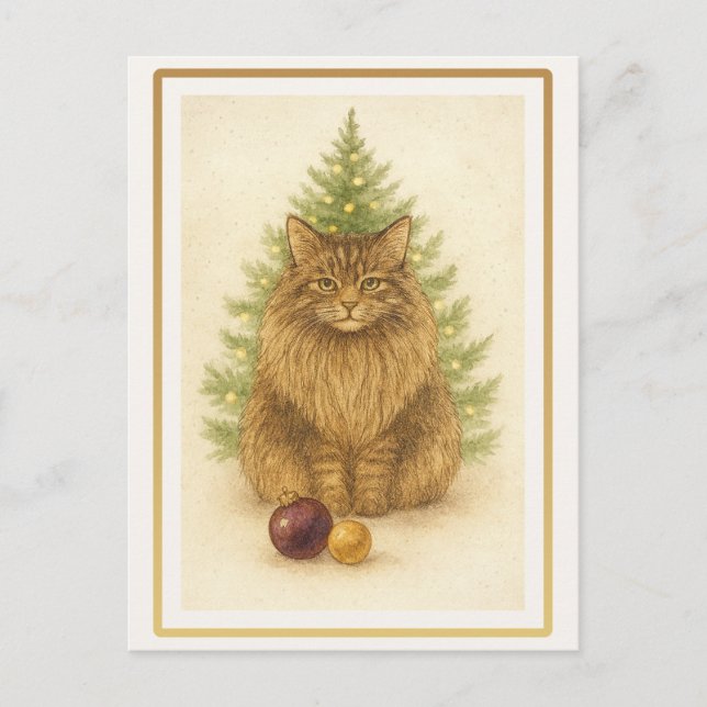 Cartão Postal Funny Maine Coon Cat Christmas Postcard (Frente)