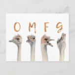 Cartão Postal Funny Ostrich Birds OMFG<br><div class="desc">Esta é uma pintura aquosa de avestruzes com emoções transitivas da calma para o colapso. Há letras em cima de cada avestruz que se lê "OMFG" em folha de ouro falsa.</div>