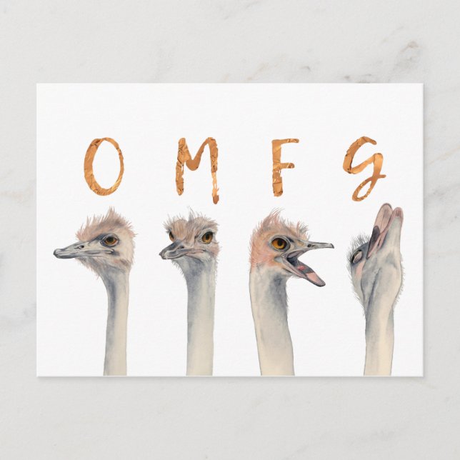 Cartão Postal Funny Ostrich Birds OMFG (Frente)