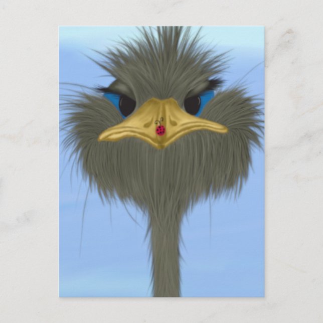 Cartão Postal Funny Ostrich George E O Bonitinho Ladybug (Frente)