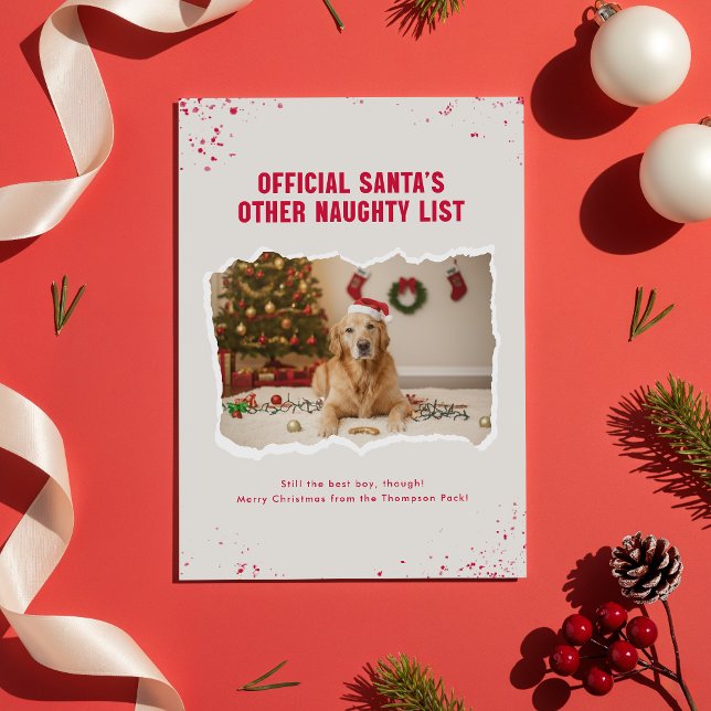 Cartão Postal Funny Pet Dog Photo Christmas Holiday Postcard (Criador carregado)
