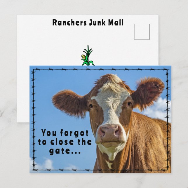 Cartão Postal Funny Ranchers Junk Mail Country Tales Ocidentais (Frente/Verso)