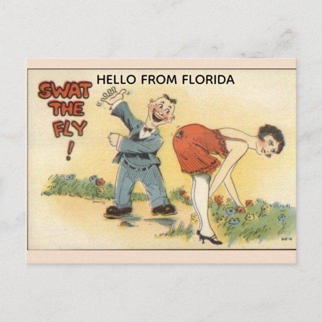 CARTÃO POSTAL FUNNY RETRO FLORIDA POSTCARD (Frente)