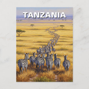 Cartão Postal Funny Tanzania Serengeti National Park Zebra