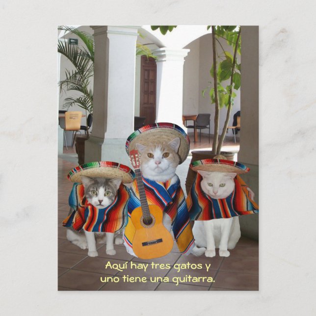 Cartão Postal Funny Tres Gatos — Auxílio Espanhol ao Ensino (Frente)