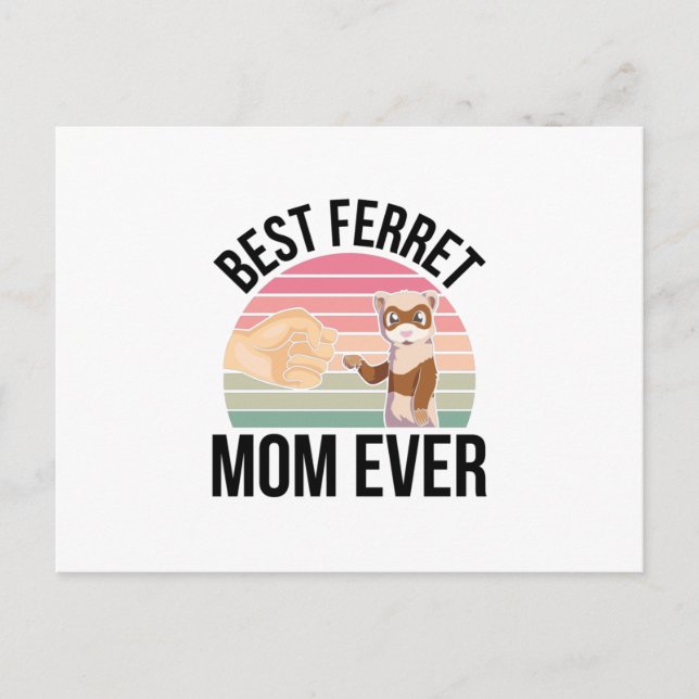 Cartão Postal Furões (Frente)