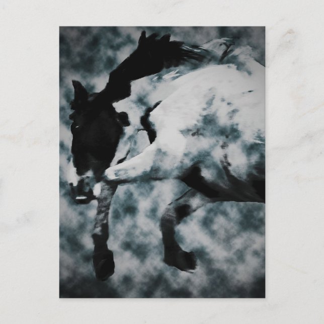 Cartão Postal Fury (Frente)