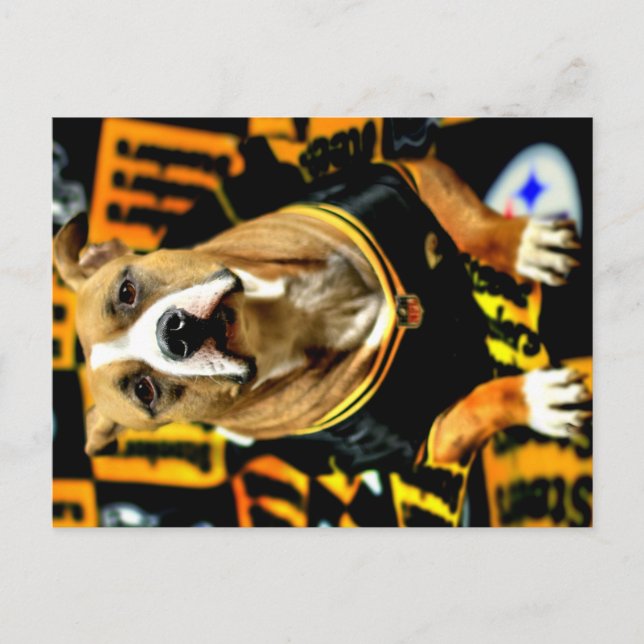 Cartão Postal Futebol do Cão de Salvação Pitbull Fanático (Frente)
