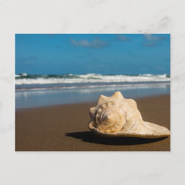 Cartão Postal Future Beach (Frente)