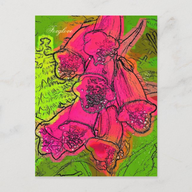 CARTÃO POSTAL FUXGLOVAS (Frente)