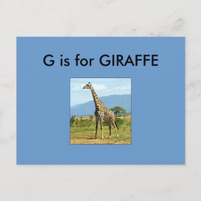 Cartão Postal "G" é para Giraffe Alphabet Flashcard (Frente)