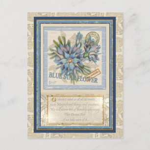 Cartão Postal G. Flor azul do Instituto de Criação