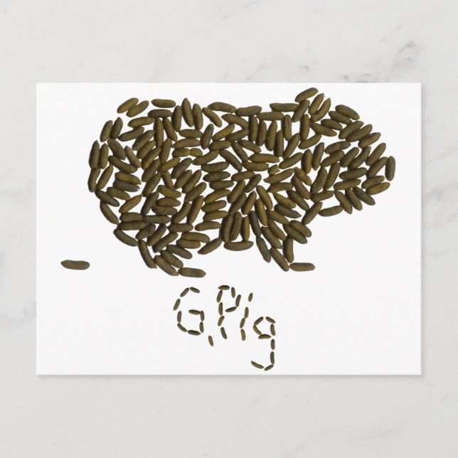 Cartão Postal "G. Pig" com guincho clássico (Frente)