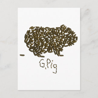 Cartão Postal "G. Suíno" com Suíno Clássico Guiné