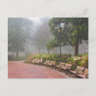 Cartão Postal GA Savannah, Azaleas ao longo da calçada e