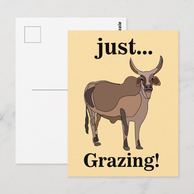 Cartão Postal Gado Zebu Vaca Animal (Frente/Verso)