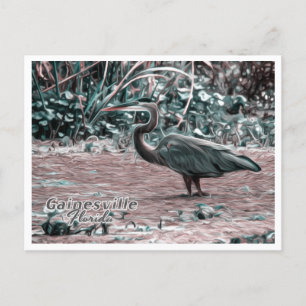 CARTÃO POSTAL GAINESVILLE FLORIDA