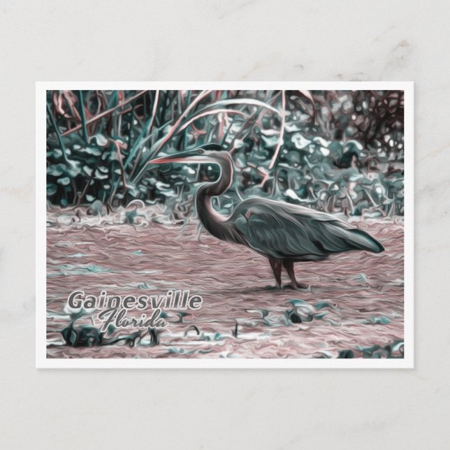 CARTÃO POSTAL GAINESVILLE FLORIDA (Frente)