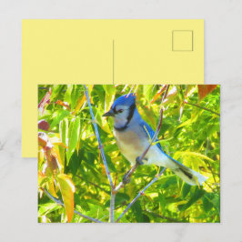 Cartão Postal Gaio Azul do Norte na Árvore Natureza Personalizad