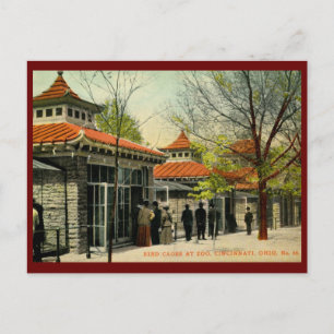Cartão Postal Gaiolas de aves no Zoo, Cincinnati, OH Vintage