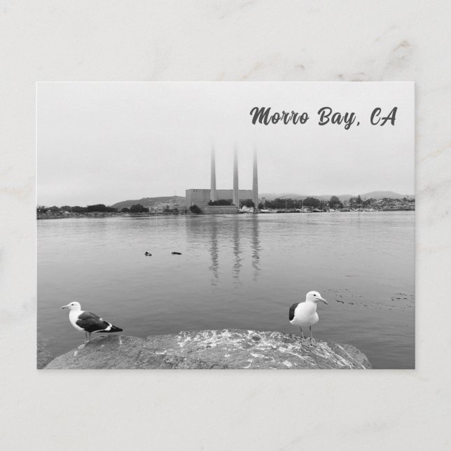 Cartão Postal Gaiolas marítimas na Baía de Morro, Califórnia (Frente)
