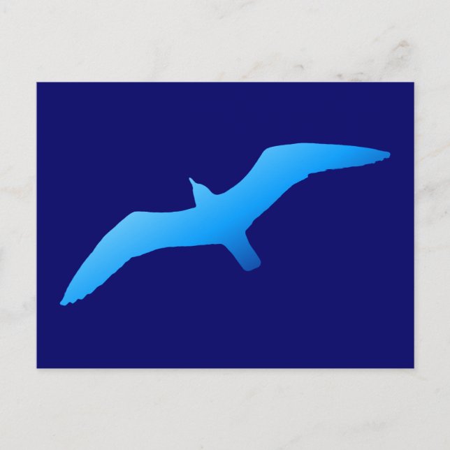 Cartão Postal Gaivota Azul (Frente)
