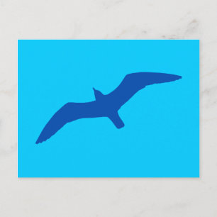 Cartão Postal Gaivota Azul Aqua