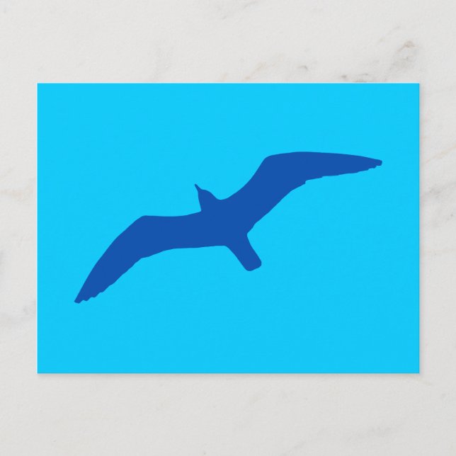 Cartão Postal Gaivota Azul Aqua (Frente)