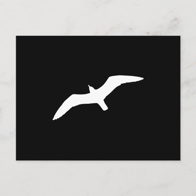 Cartão Postal Gaivota branca (Frente)