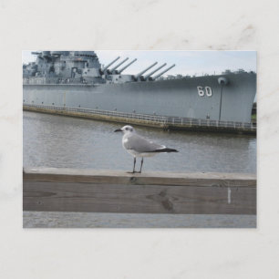 Cartão Postal Gaivota USS Mobile Navio de Guerra Fotografia